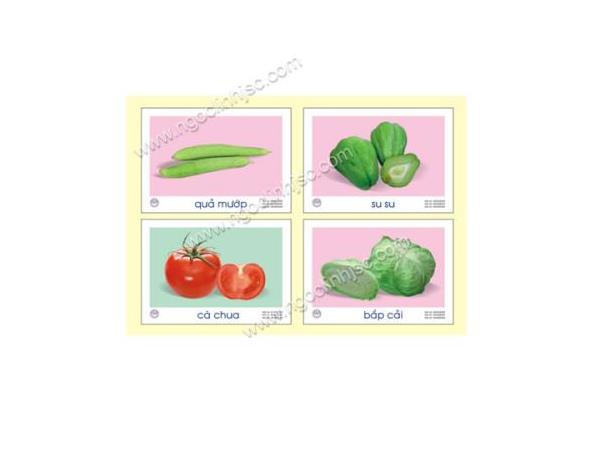Tranh về các loài hoa, rau, củ, quả