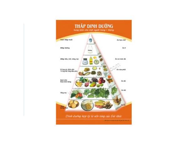 Tháp dinh dưỡng