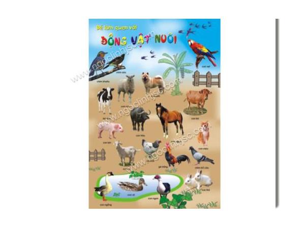 Tranh động vật nuôi