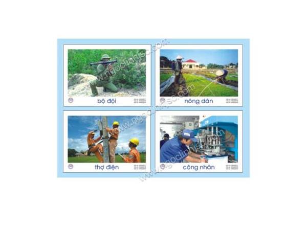 Tranh ảnh một số nghề nghiệp
