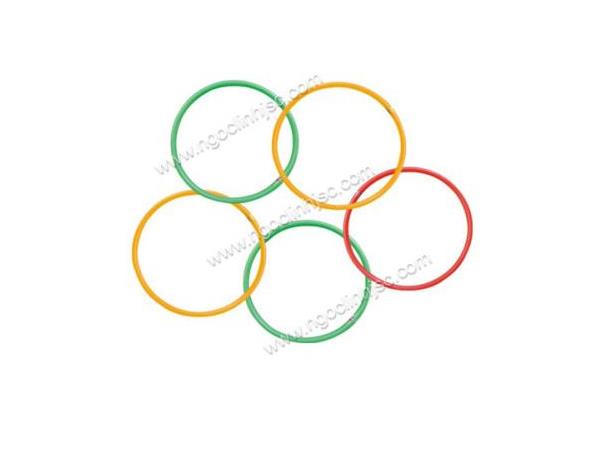 Vòng thể dục FI30