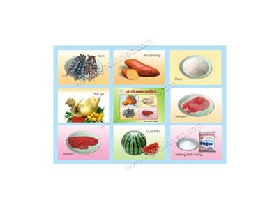 Lô tô dinh dưỡng