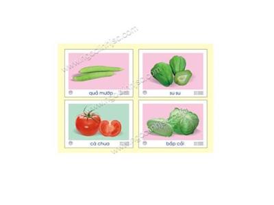 Tranh về các loài hoa, rau, củ, quả