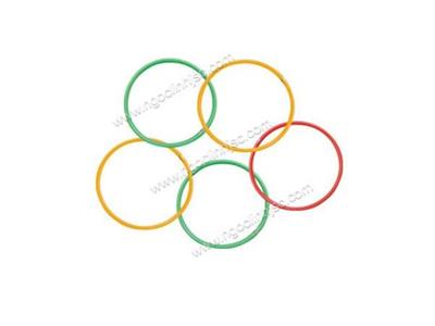 Vòng thể dục FI30